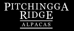 Pitchingga Ridge Alpacas